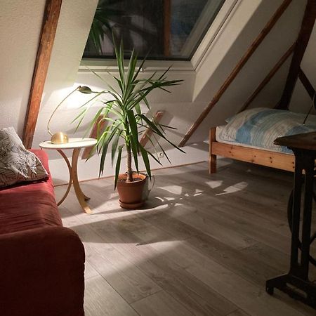 Privates Appartment Ferienwohnung Im Einfamilienhaus Düsseldorf Extérieur photo