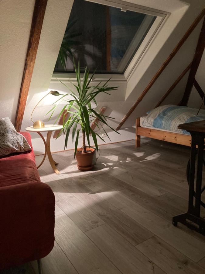 Privates Appartment Ferienwohnung Im Einfamilienhaus Düsseldorf Extérieur photo
